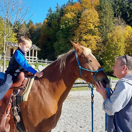 מלון דירות Grubhof