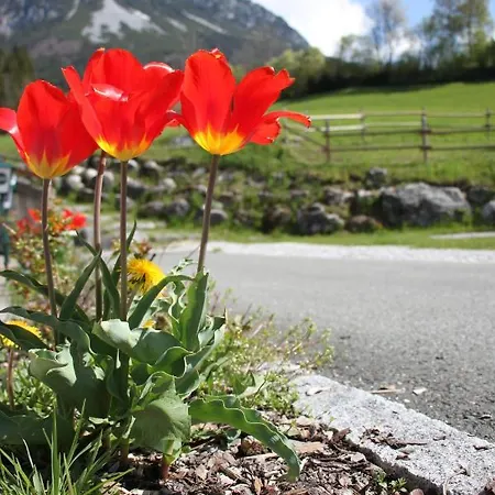 Grubhof 4* אלמאו